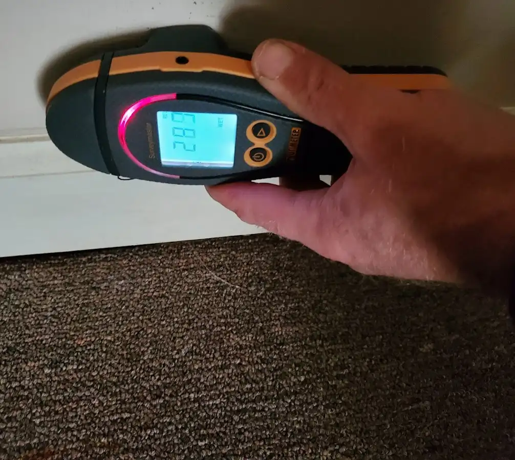 Moisture detection at baseboard during Burst Pipe Cleanup in Lockport
